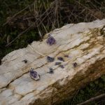 WhatsApp Image 2026-02-11 at 12.00.46 (19)